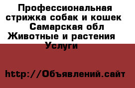 Профессиональная стрижка собак и кошек. - Самарская обл. Животные и растения » Услуги   
